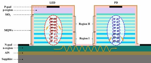 新成果展示 AlGaN基發光-探測雙功能集成光電子器件模型的開發與應用